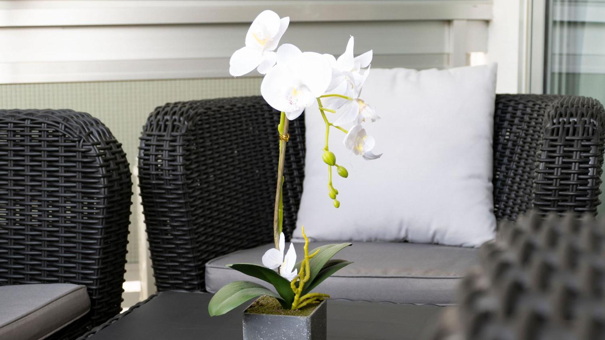 The White Corner By Homestaygrancanaria San Bartolomé Exterior foto